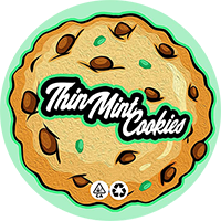 100 PCS 3-5ml Laser Stickers Capsules Small Jars Bottles Container CBD Cream Plastic Capsules With Laser Stickers