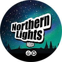 100 PCS 3-5ml Laser Stickers Capsules Small Jars Bottles Container CBD Cream Plastic Capsules With Laser Stickers