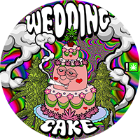 100 PCS 3-5ml Laser Stickers Capsules Small Jars Bottles Container CBD Cream Plastic Capsules With Laser Stickers