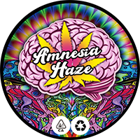 100 PCS 3-5ml Laser Stickers Capsules Small Jars Bottles Container CBD Cream Plastic Capsules With Laser Stickers