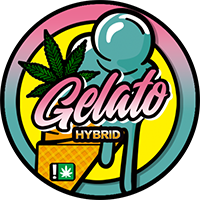 100 PCS 3-5ml Laser Stickers Capsules Small Jars Bottles Container CBD Cream Plastic Capsules With Laser Stickers