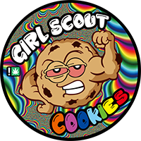 100 PCS 3-5ml Laser Stickers Capsules Small Jars Bottles Container CBD Cream Plastic Capsules With Laser Stickers