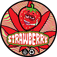 100 PCS 3-5ml Laser Stickers Capsules Small Jars Bottles Container CBD Cream Plastic Capsules With Laser Stickers